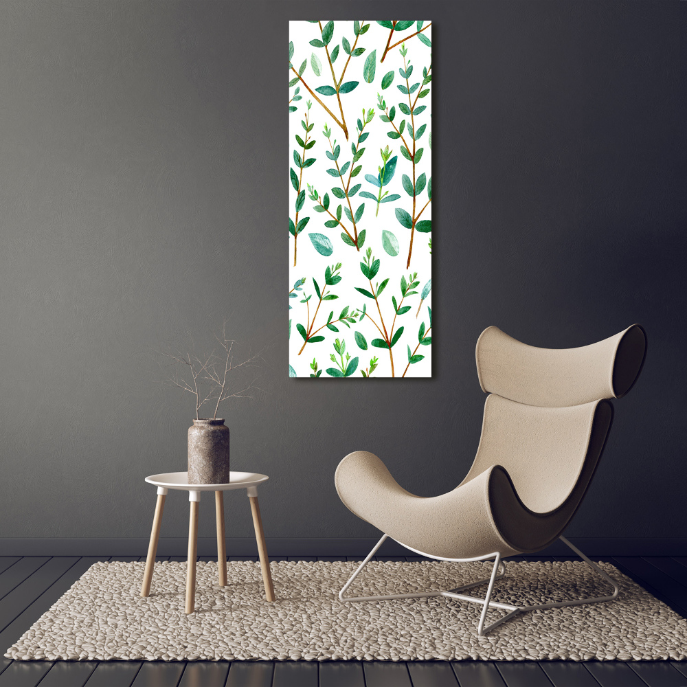 Tableau sur toile Branches d'eucalyptus