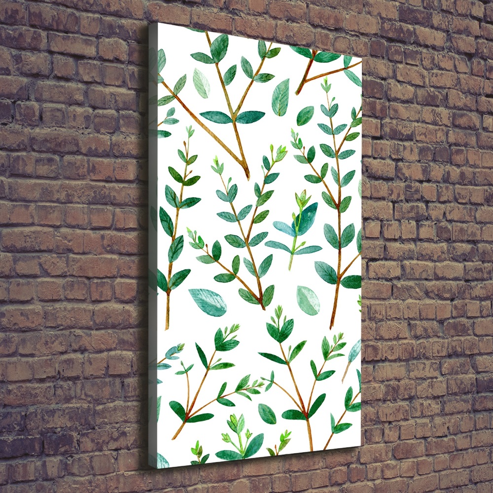 Tableau sur toile Branches d'eucalyptus