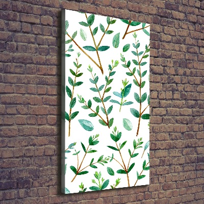 Tableau sur toile Branches d'eucalyptus