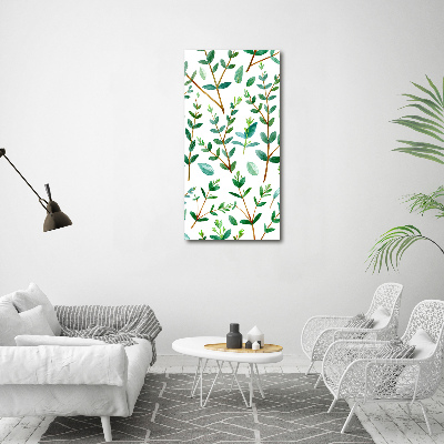 Tableau sur toile Branches d'eucalyptus