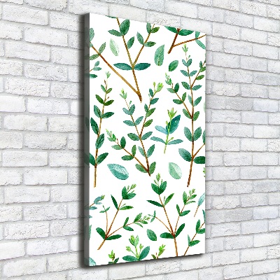 Tableau sur toile Branches d'eucalyptus