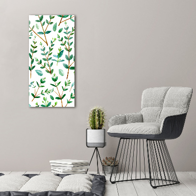 Tableau sur toile Branches d'eucalyptus