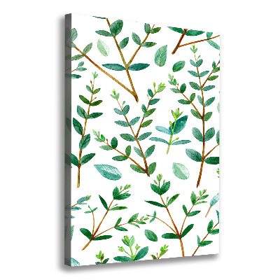 Tableau sur toile Branches d'eucalyptus