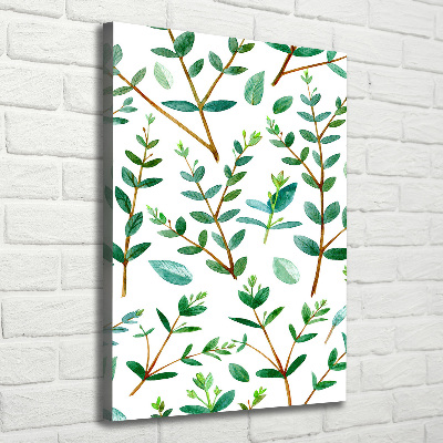 Tableau sur toile Branches d'eucalyptus