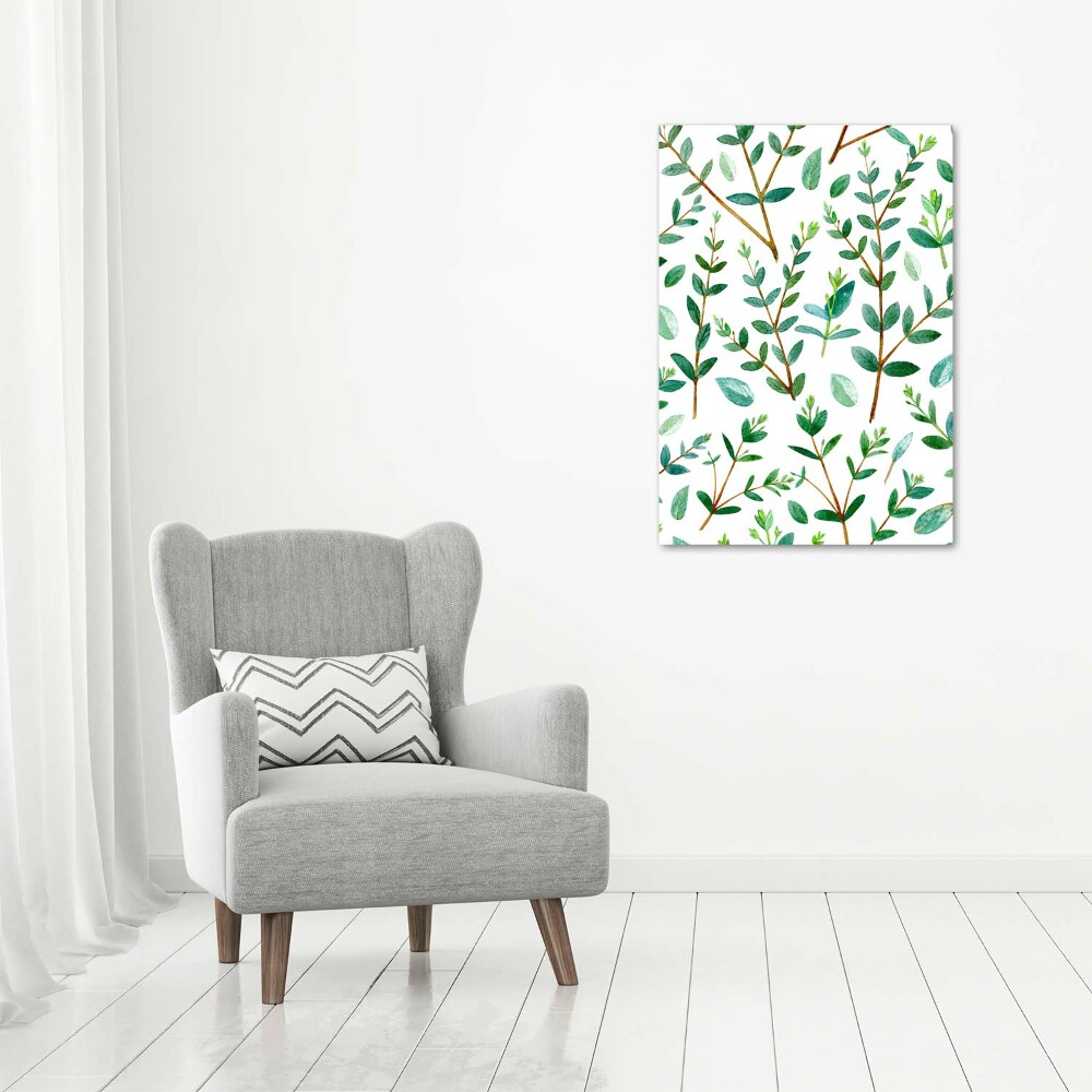 Tableau sur toile Branches d'eucalyptus