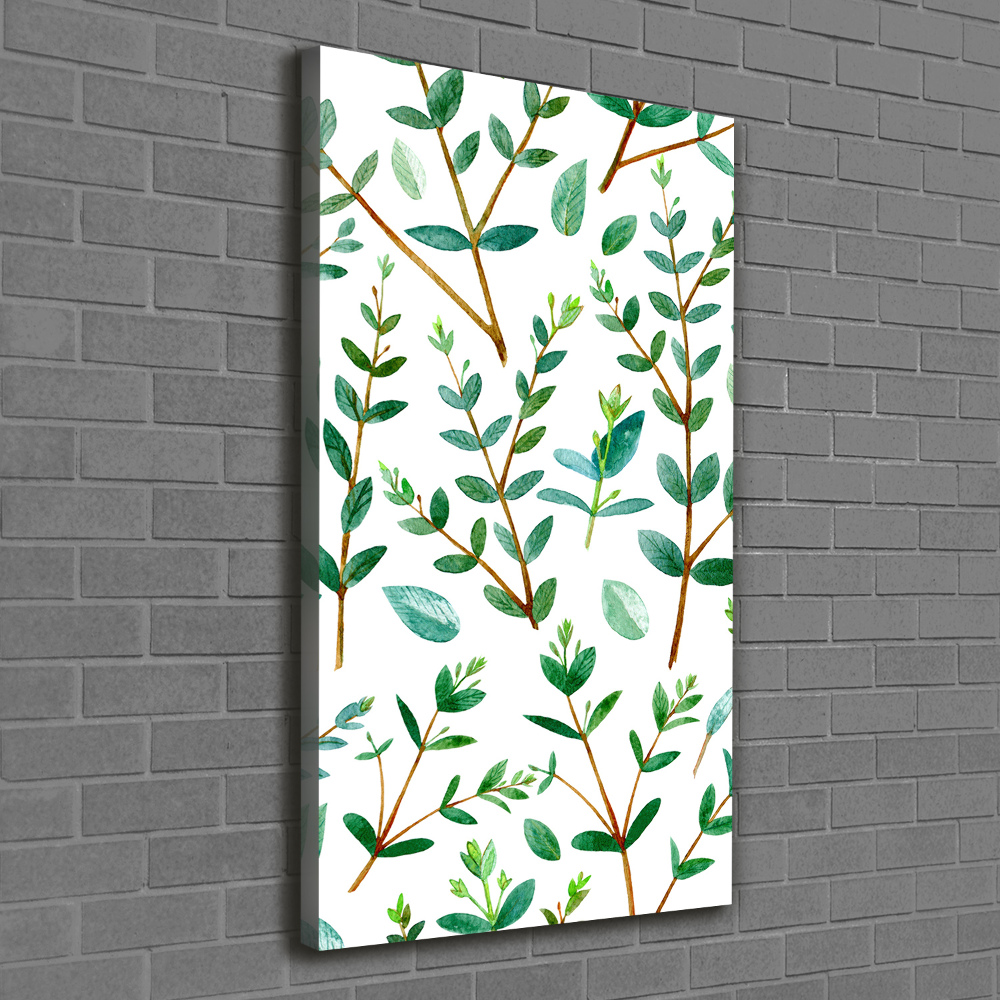 Tableau sur toile Branches d'eucalyptus