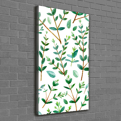 Tableau sur toile Branches d'eucalyptus