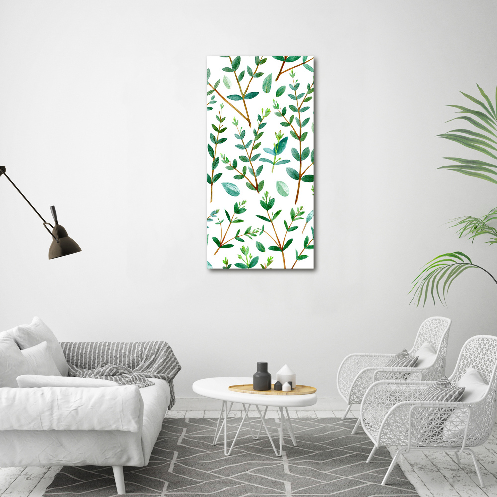 Tableau sur toile Branches d'eucalyptus