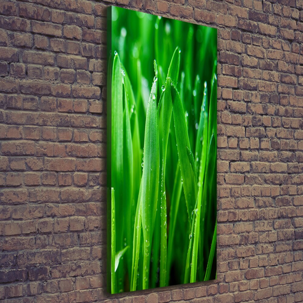 Tableau mural sur toile Tiges d'herbe