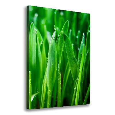 Tableau mural sur toile Tiges d'herbe