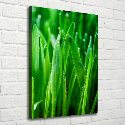 Tableau mural sur toile Tiges d'herbe