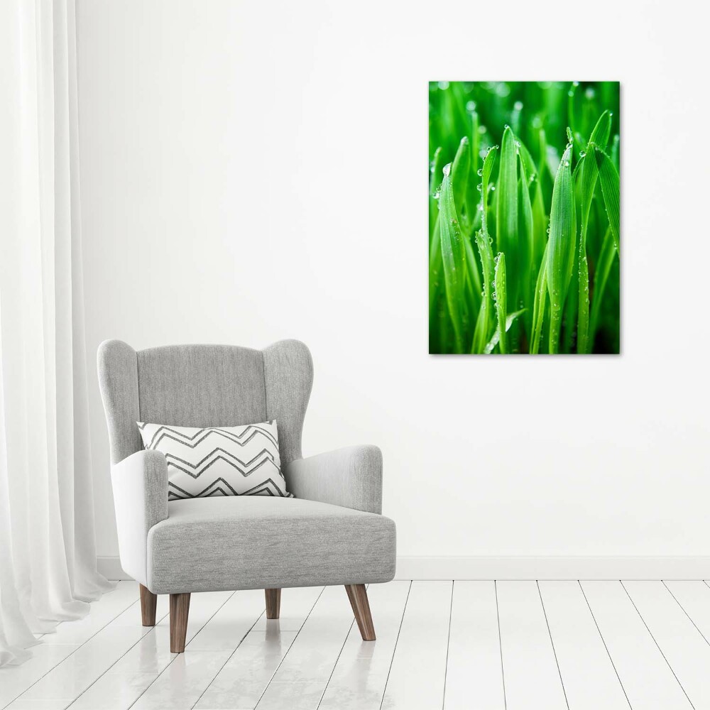 Tableau mural sur toile Tiges d'herbe