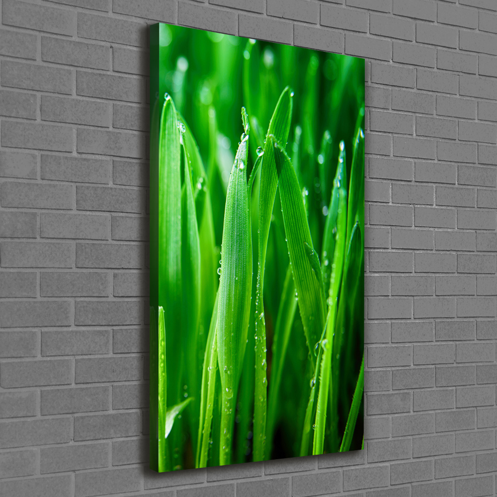 Tableau mural sur toile Tiges d'herbe