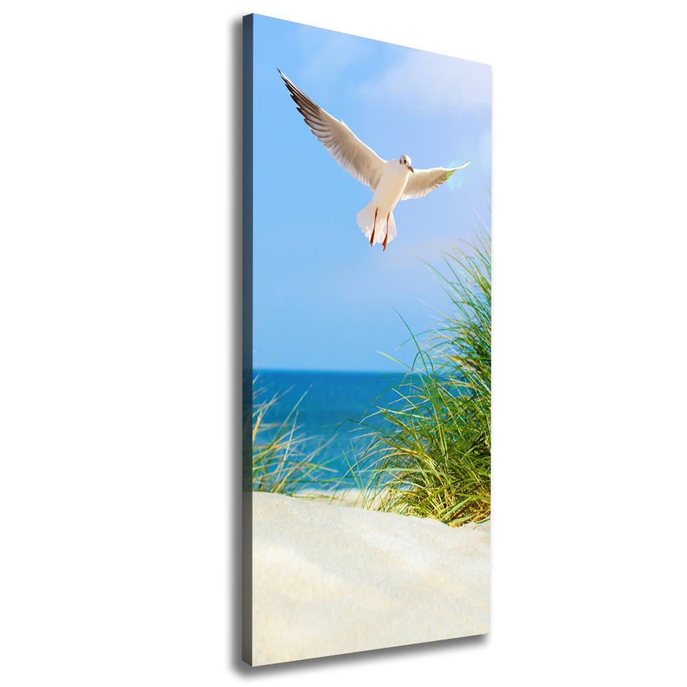 Tableau photo sur toile Mouette au-dessus des dunes