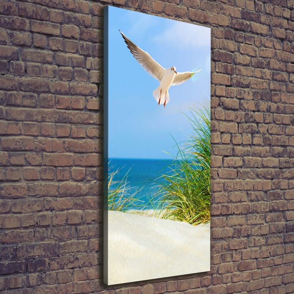 Tableau photo sur toile Mouette au-dessus des dunes