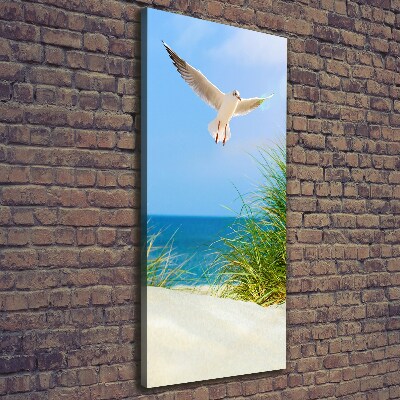 Tableau photo sur toile Mouette au-dessus des dunes