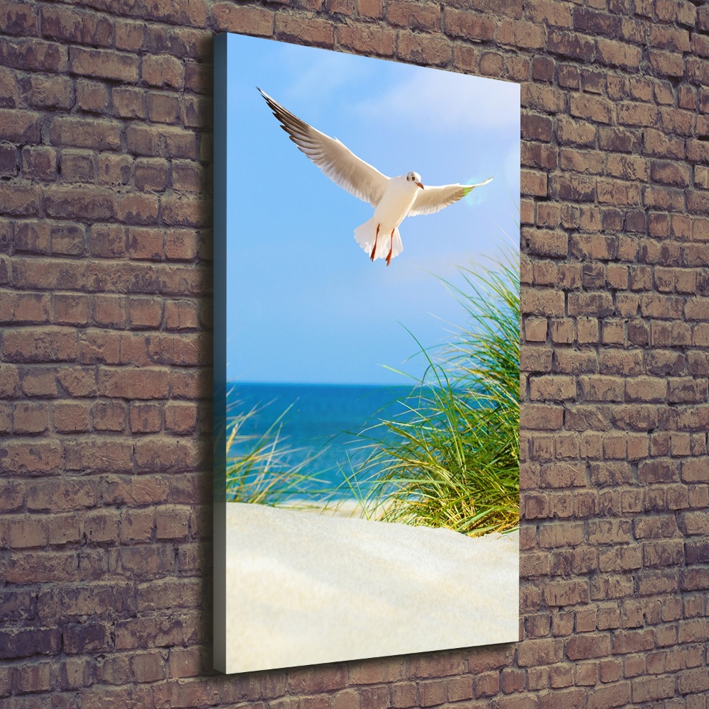 Tableau photo sur toile Mouette au-dessus des dunes