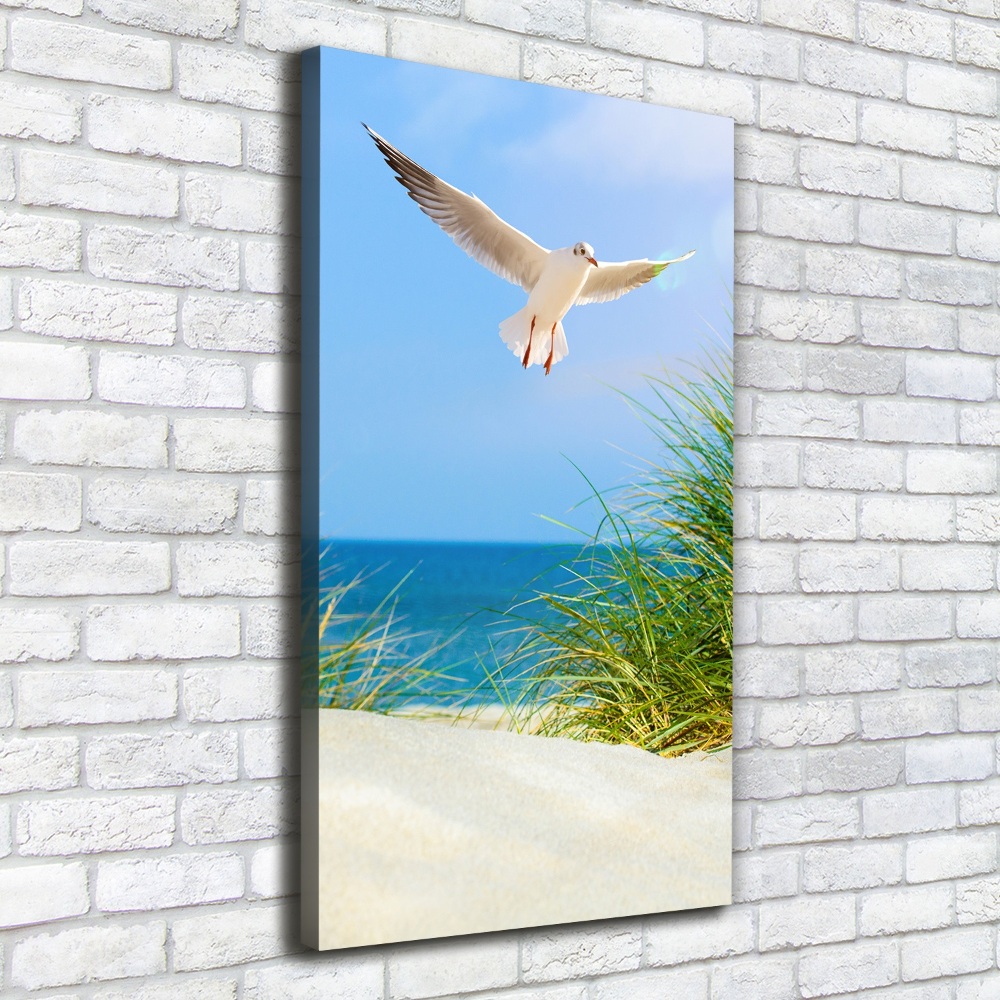 Tableau photo sur toile Mouette au-dessus des dunes