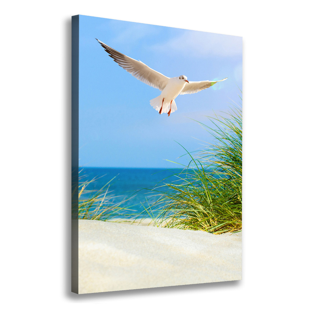 Tableau photo sur toile Mouette au-dessus des dunes