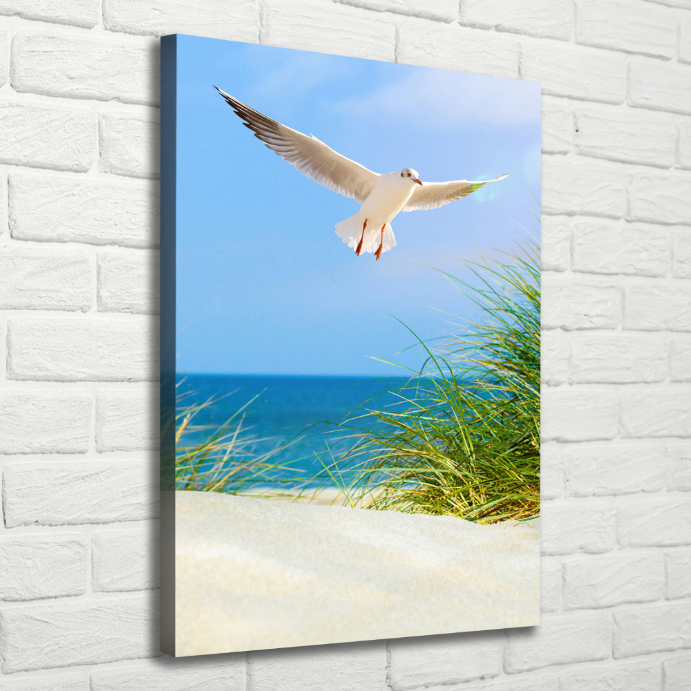 Tableau photo sur toile Mouette au-dessus des dunes