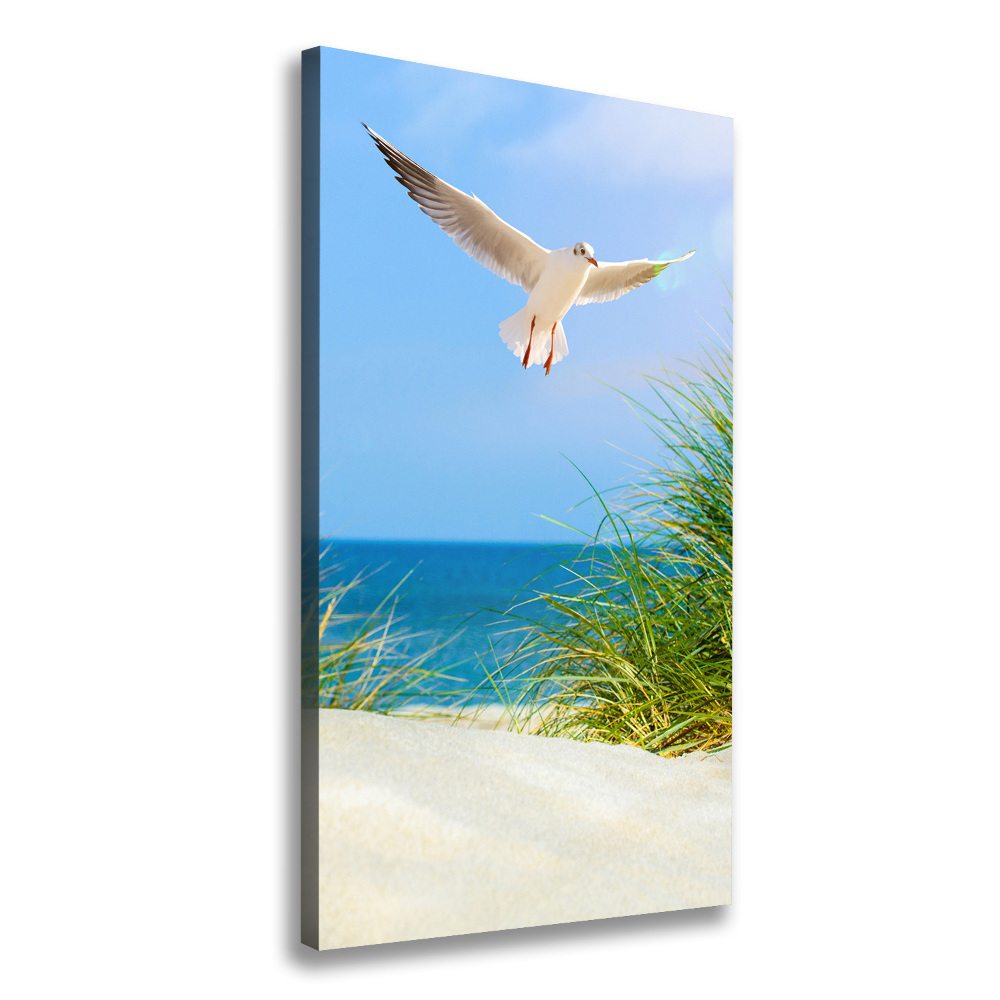 Tableau photo sur toile Mouette au-dessus des dunes