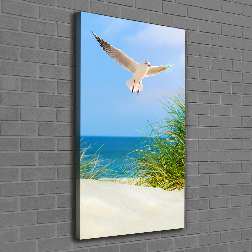 Tableau photo sur toile Mouette au-dessus des dunes