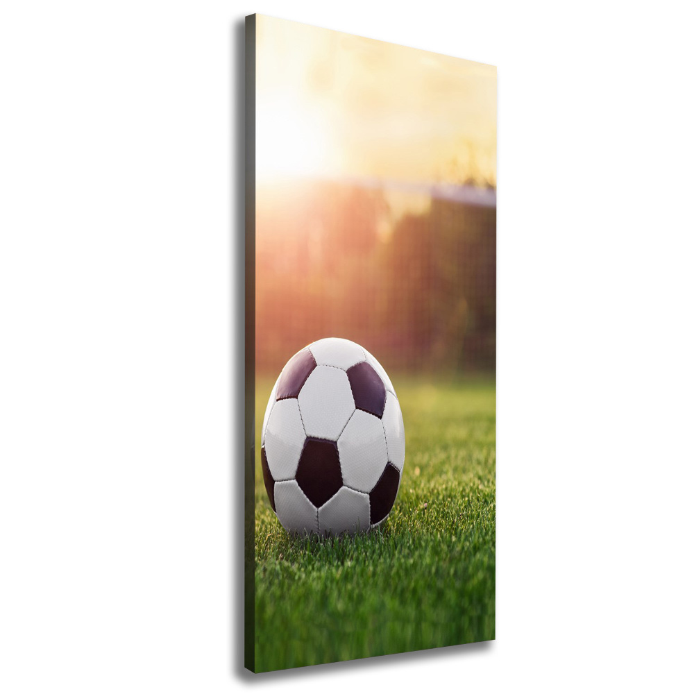 Tableau mural sur toile Football