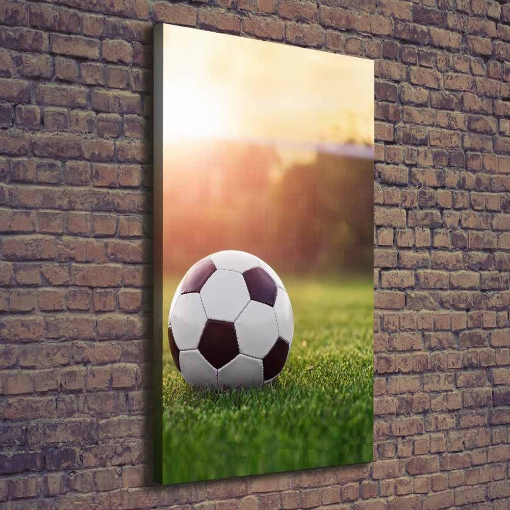 Tableau mural sur toile Football