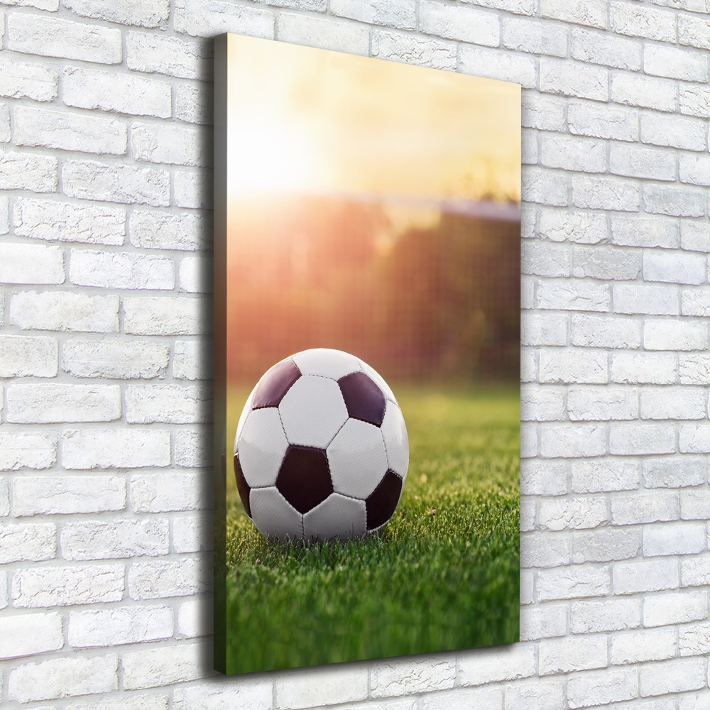 Tableau mural sur toile Football