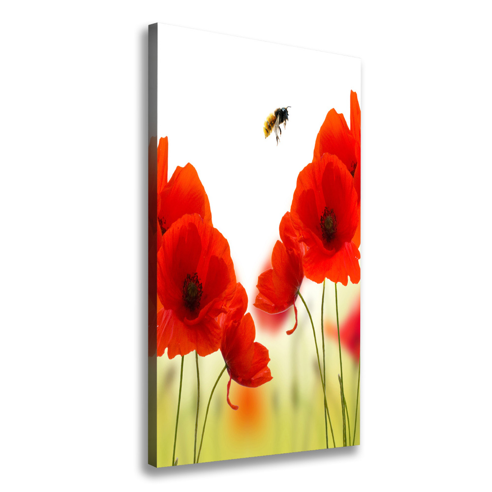 Tableau sur toile Fleurs de coquelicots rouges