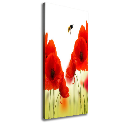 Tableau sur toile Fleurs de coquelicots rouges