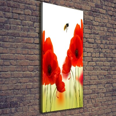 Tableau sur toile Fleurs de coquelicots rouges