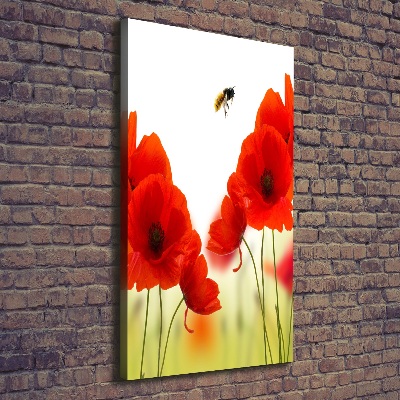 Tableau sur toile Fleurs de coquelicots rouges