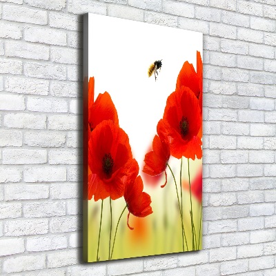 Tableau sur toile Fleurs de coquelicots rouges