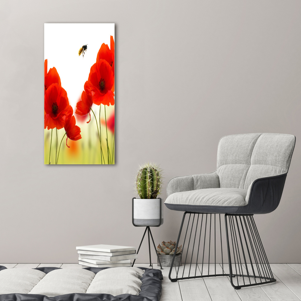 Tableau sur toile Fleurs de coquelicots rouges