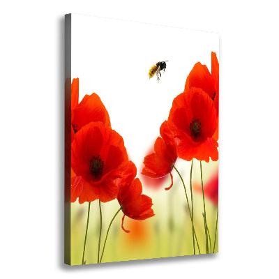 Tableau sur toile Fleurs de coquelicots rouges