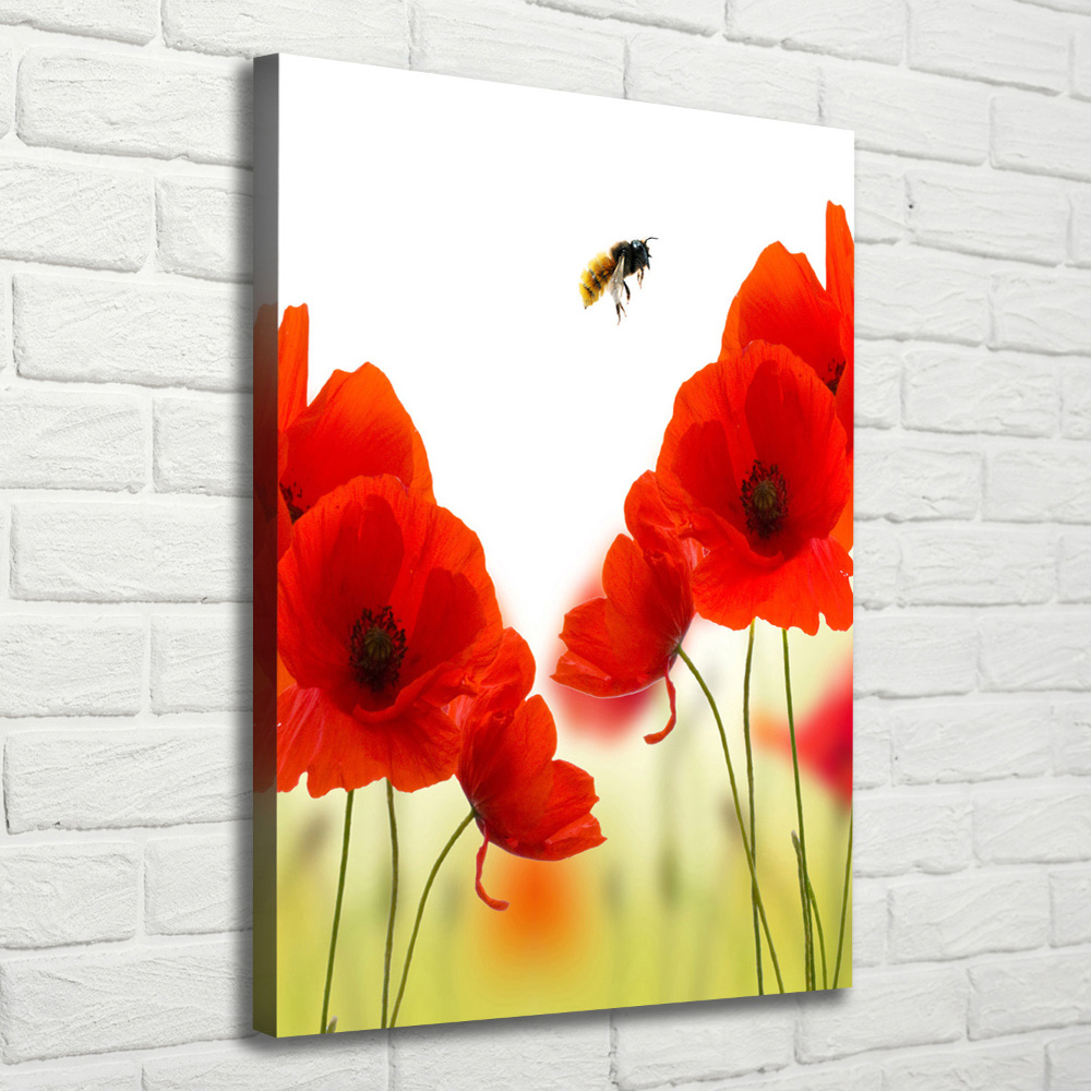 Tableau sur toile Fleurs de coquelicots rouges