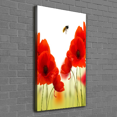 Tableau sur toile Fleurs de coquelicots rouges