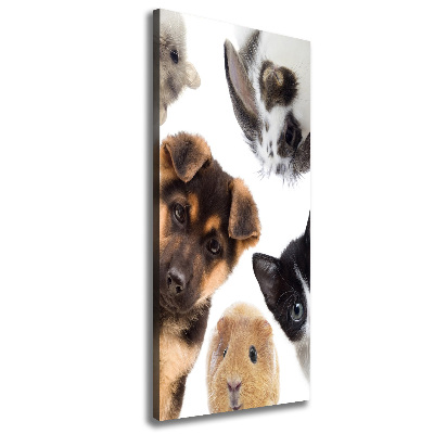 Tableau imprimé sur toile Animaux domestiques