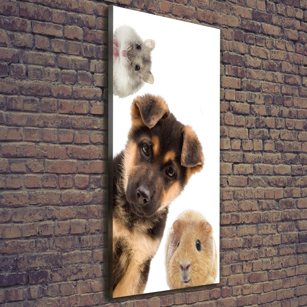 Tableau photo sur toile Animaux domestiques