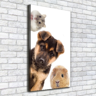 Tableau photo sur toile Animaux domestiques