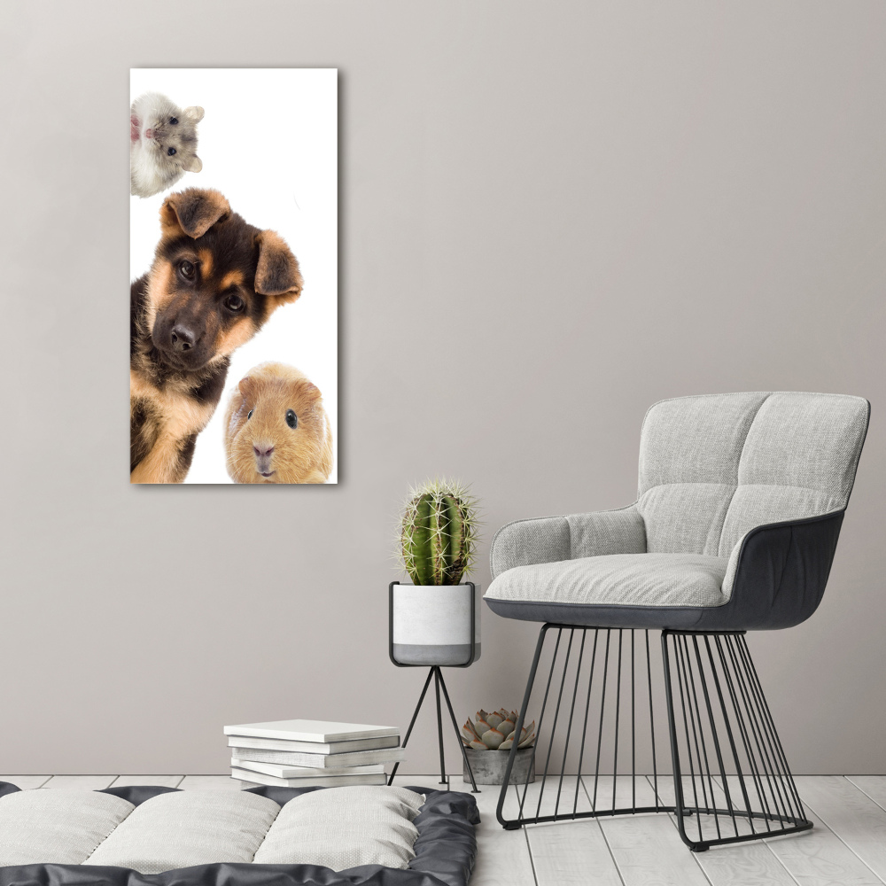 Tableau photo sur toile Animaux domestiques