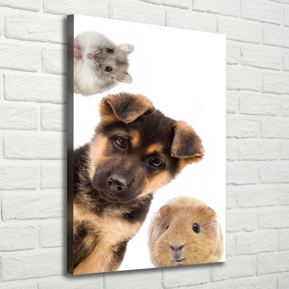 Tableau photo sur toile Animaux domestiques