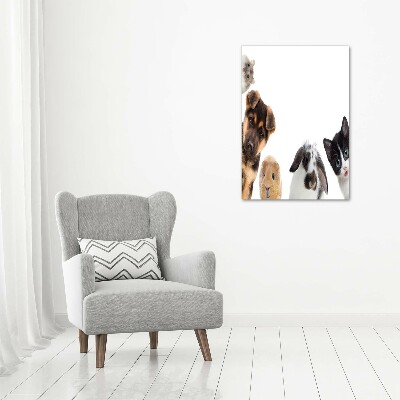 Tableau photo sur toile Animaux domestiques