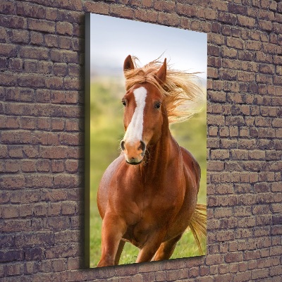 Tableau toile imprimée Cheval au galop