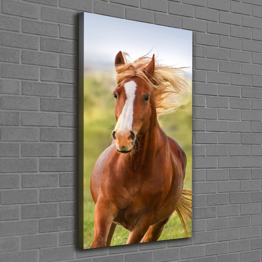 Tableau toile imprimée Cheval au galop