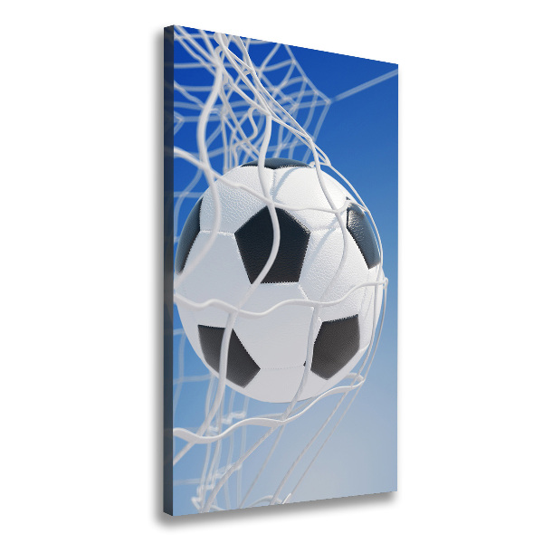 Football dans le but