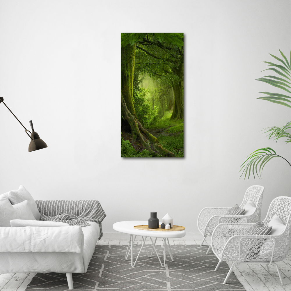 Tableau mural sur toile Jungle tropicale