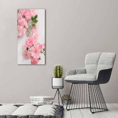 Tableau photo sur toile Rosier sauvage