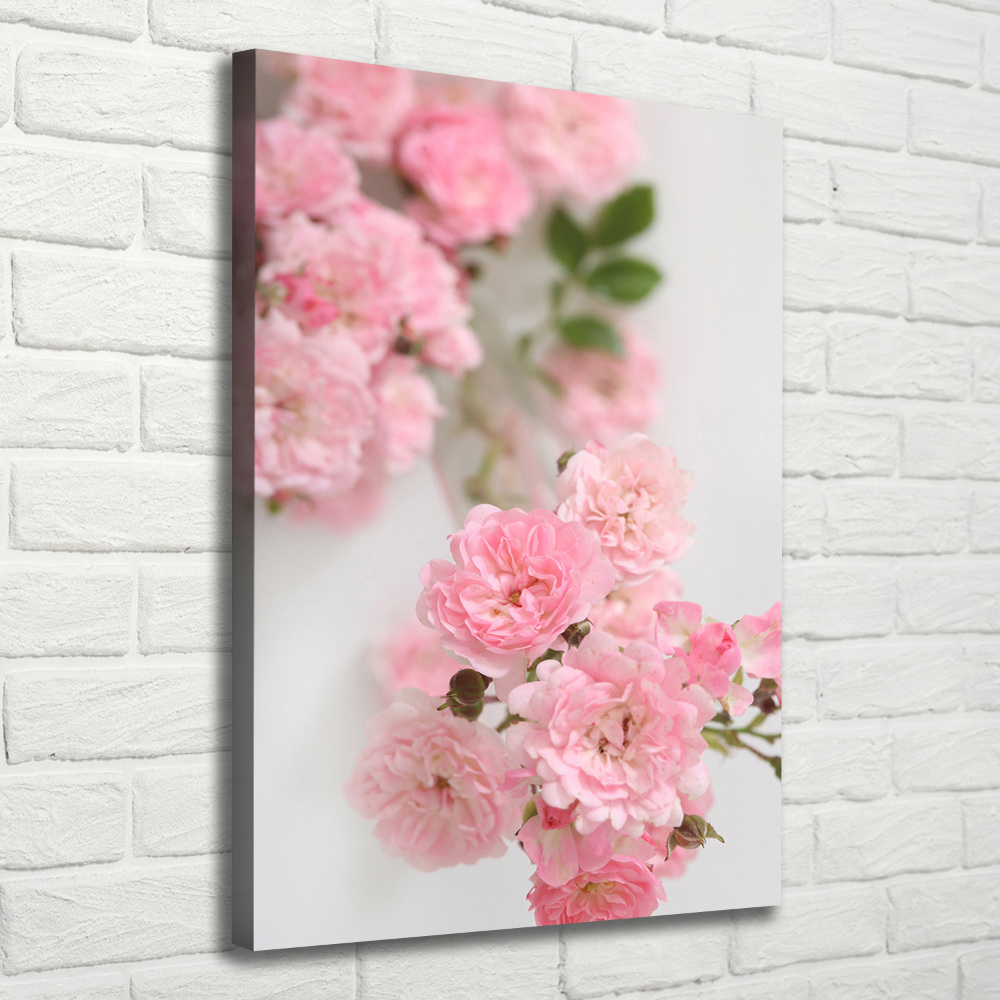 Tableau photo sur toile Rosier sauvage